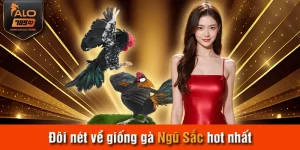 Đôi nét về giống gà Ngũ Sắc hot nhất 