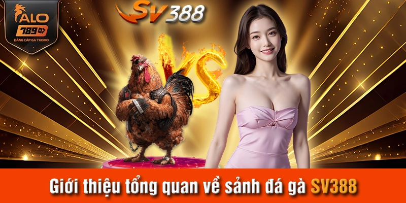Giới thiệu tổng quan về sảnh đá gà SV388