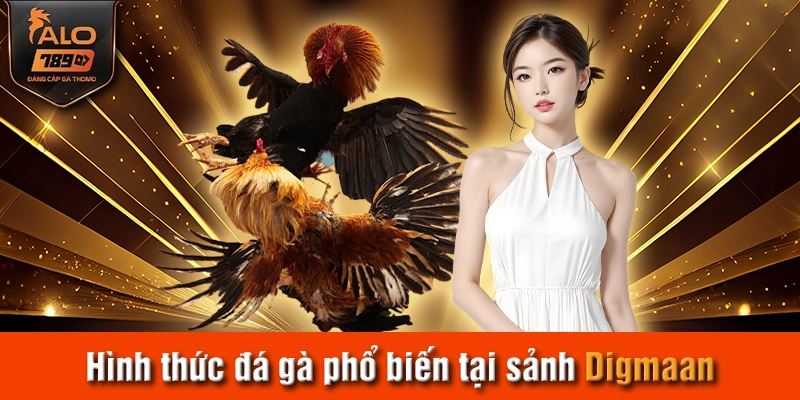 Hình thức đá gà phổ biến tại sảnh Digmaan